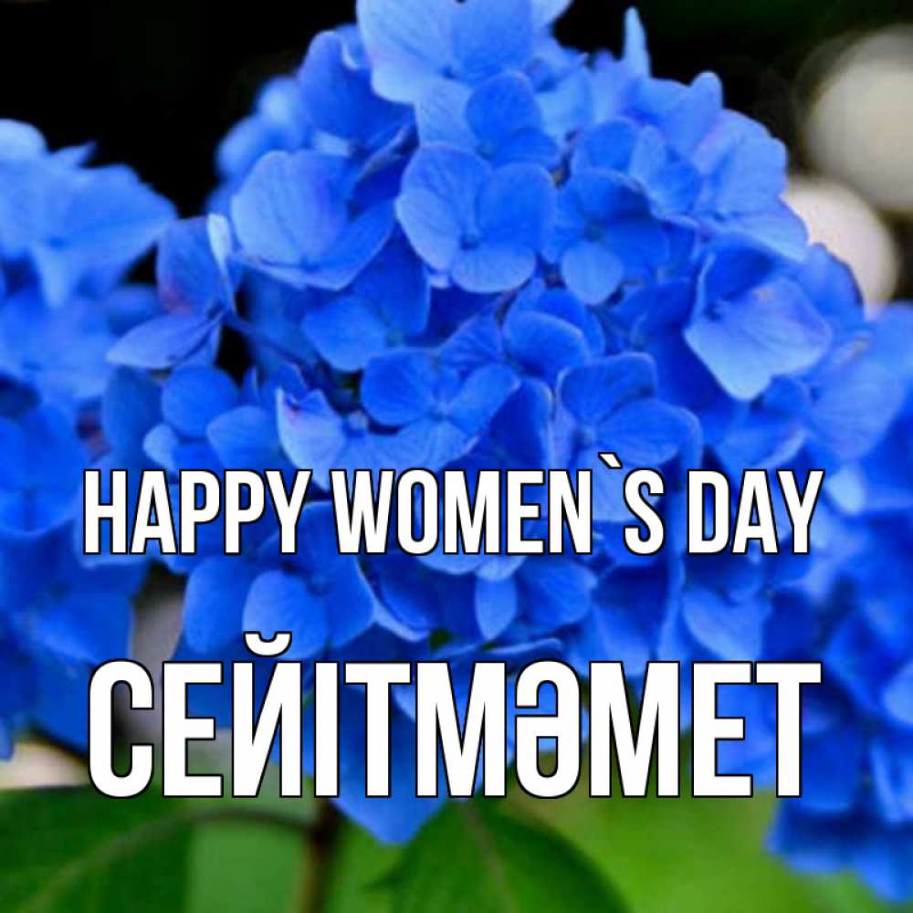 Greetings card с именем, СЕЙІТМӘМЕТ happy women`s day синие цветы Greetings with text for free download 